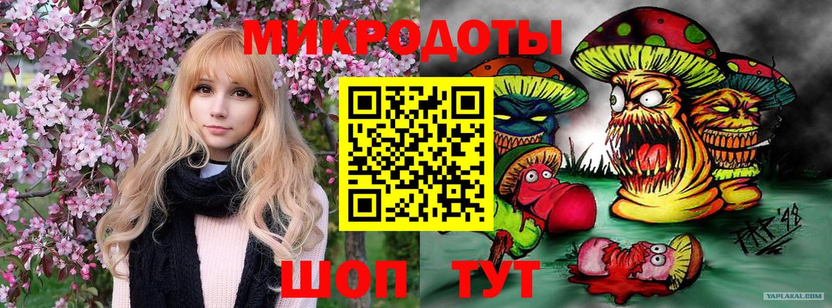 Галлюциногенные грибы Magic Shrooms Копейск